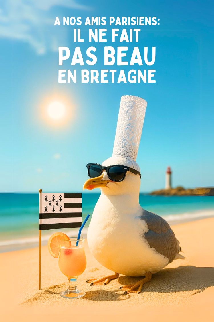 D couvrez L Affiche Humour Bretagne Drole Et Marrant 100 Posters d-couvrez-l-affiche-humour-bretagne-drole-et-marrant-100-posters