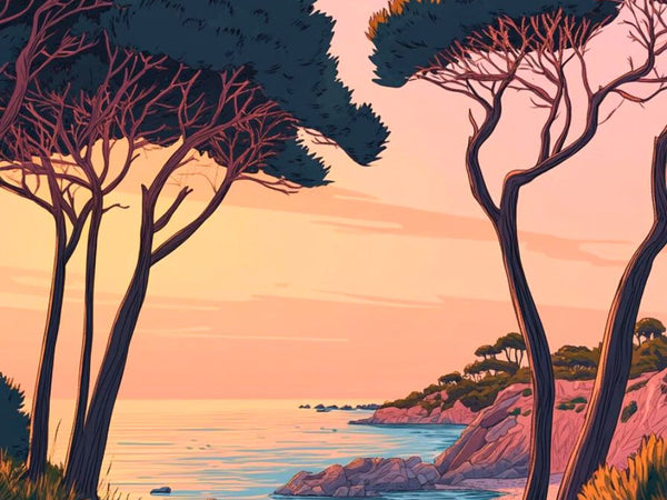 La vendee plage coucher de soleil Affiche Poster Deco Mural