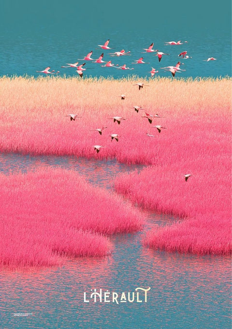 affiche, Hérault, flamant rose, étang, lac, paysage, design, graphisme, rose, turquoise