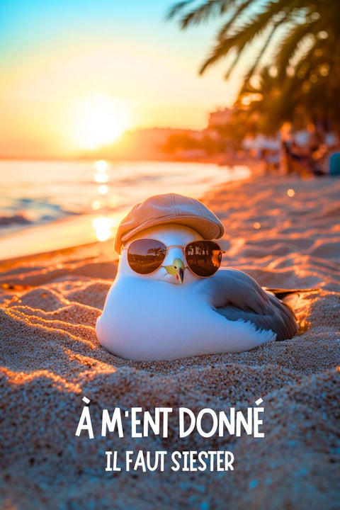Affiche Drole - Expression du Sud - Moment Donné Sieste, Humour et Citation