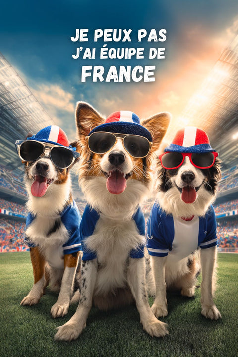 Affiche Ramenez la Coupe à la Maison