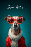 Affiche, Joyeux Noël, Chien, Drôle, Humour, Découverte, Plein, Festif, Décoration, Cadeau.