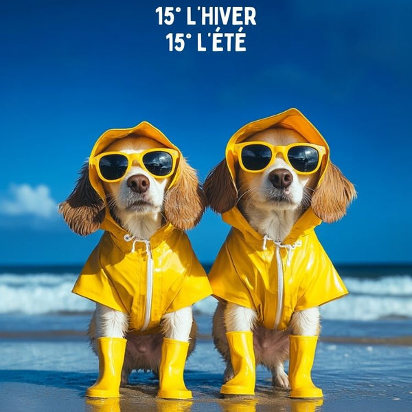 Affiche, humoristique, retraite, mariage, anniversaire, normand, cadeau, décoration, personnalisé, fête.