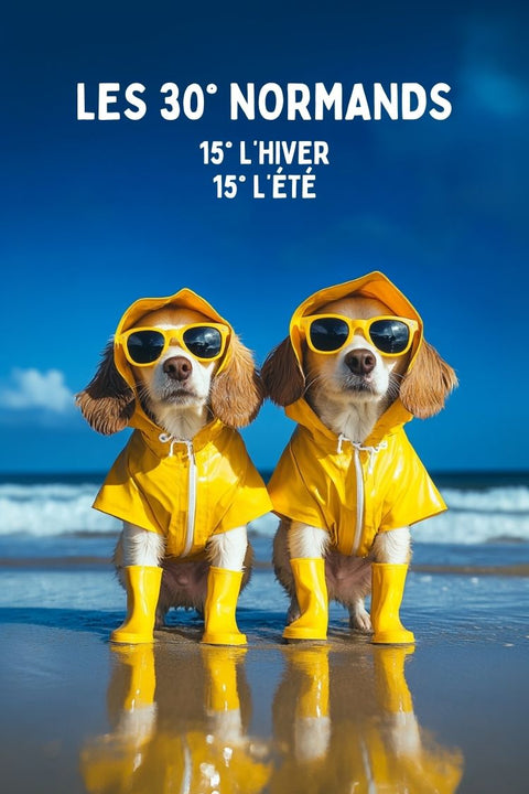 Affiche, humoristique, retraite, mariage, anniversaire, normand, cadeau, décoration, personnalisé, fête.