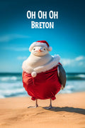 Affiche, Drôle, Noël, Bretagne, Inédite, Unique, Humour, Décoration, Cadeau, Festive.