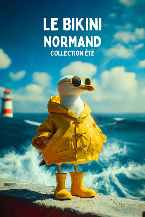 Poster, Bikini, Normand, Humoristique, Maillot de Bain, Normandie, Affiche, Décoration, Art, France