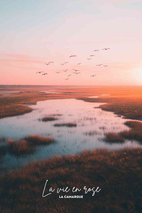 Affiche La Camargue - Flamants Roses aesthetic