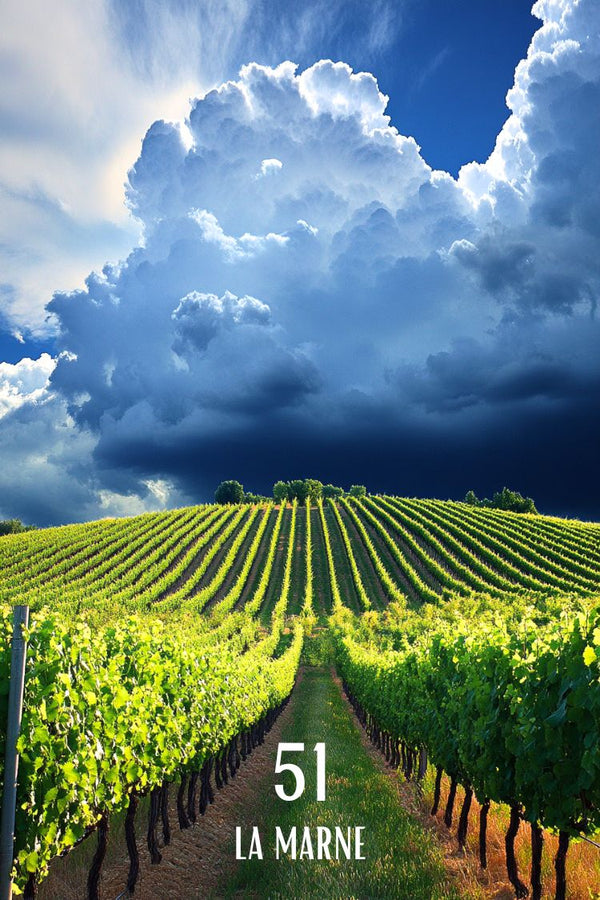Orage, Vigne, Champagne, Marne, Poster, Photo, Capture, Nature, Décoration, Murale