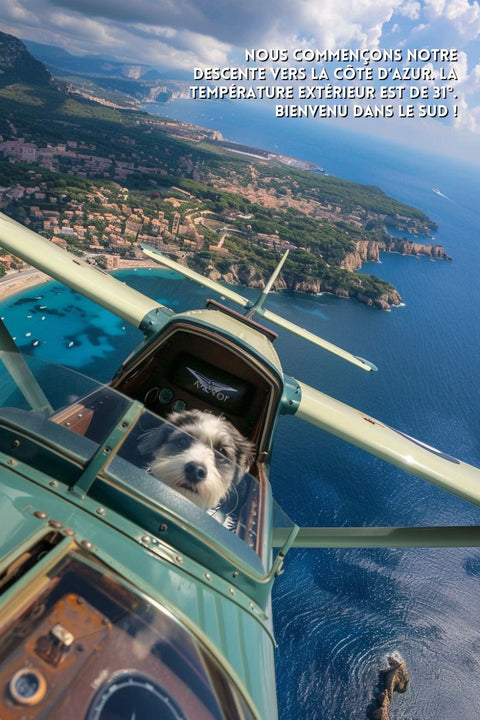 Affiche poster drole sud chien avion