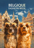 affiche, poster, Bruxelles, Belgique, Grand-Place, drôle, humour, marrant, souvenir, décoration murale