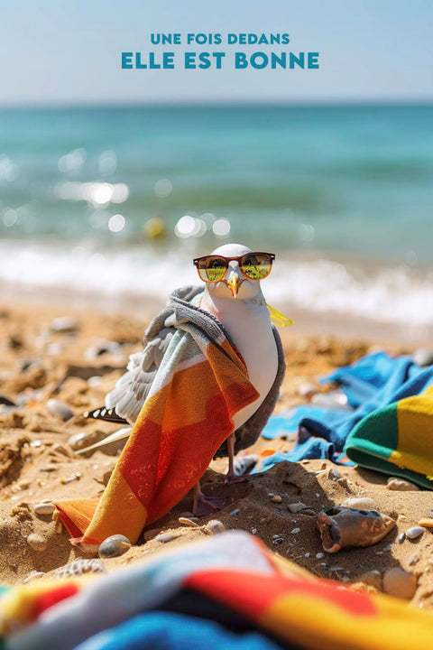 Affiche Bretagne Drole mouette