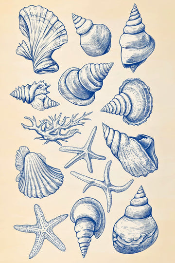 Affiches Mer et Plage - Top posters déco plage et mer – Posters de nos ...