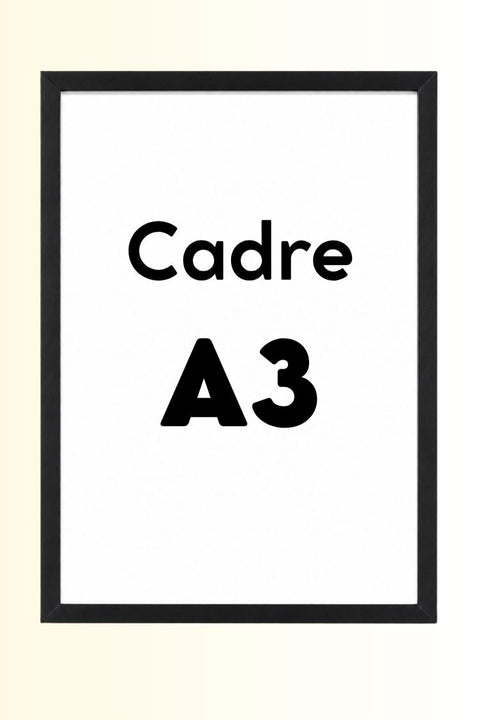 Cadre A3 - Noir