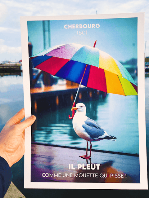 Affiche de Cherbourg - Il pleut comme une mouette qui pisse