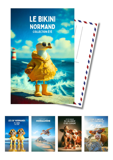 Lot 5 Cartes Postales Normandie