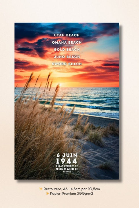 Lot de 9 Cartes Postales D-Day Normandie