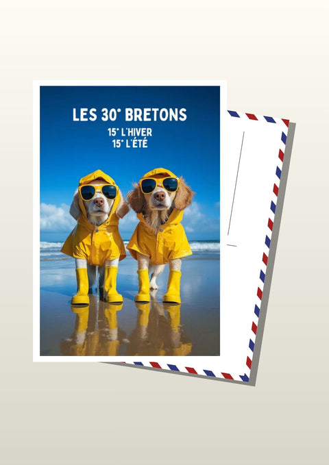 Carte postale Drôle Pluie Bretons