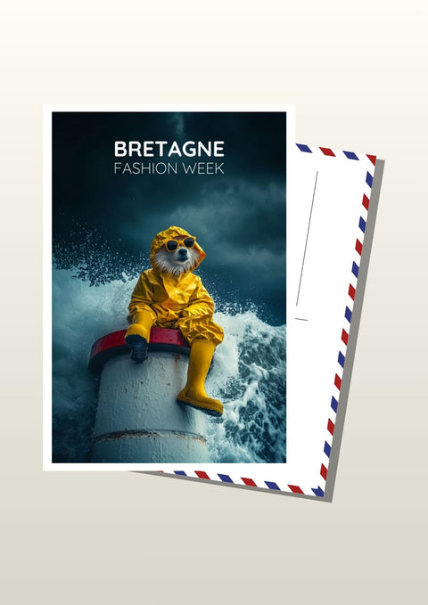 Carte postale Bretagne - Mode et Humour