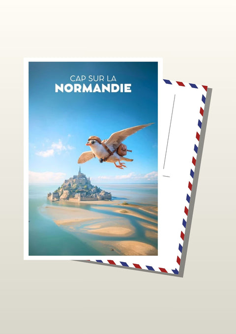 Carte Postale Normandie - Mouette au Mont St Michel.