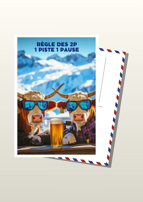 Carte postale Drôle - Règles des 2P Ski Alpes