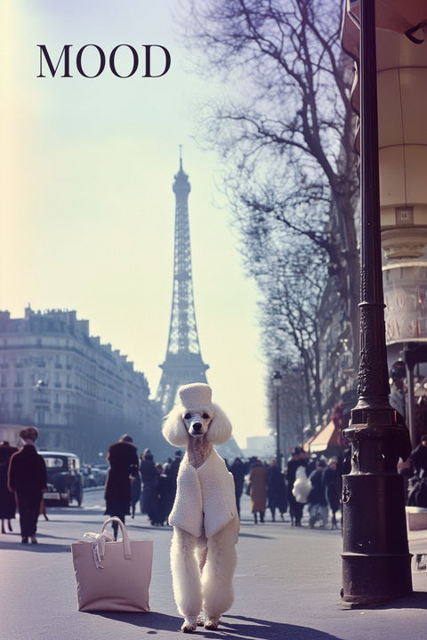 Affiche Fashion Mode Caniche