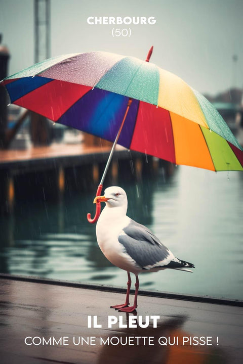 Une mouette se tient sur une promenade mouillée sous un parapluie arc-en-ciel, capturant latmosphère fantaisiste de « Mouette Sous la Pluie ». Dans larrière-plan flou, on peut lire : « Cherbourg (50) » et « Il pleut comme une mouette qui pisse ! » — un véritable moment dAffiche de Cherbourg.