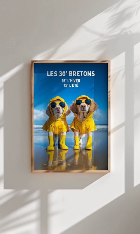 Affiche Bretagne - Blagues soleil pluie original