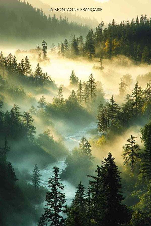 Affiche Montagne - La Forêt et la Brume