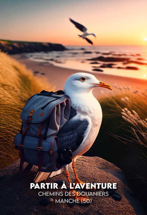 affiche mouette chemin des douaniers - la manche en normandie