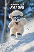 Affiche Drôle - Je peux pas j’ai ski