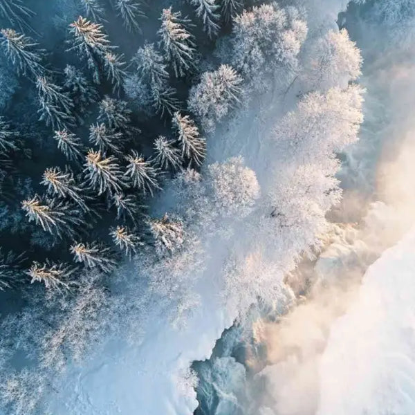 Affiche Montagne - L’hiver vu du ciel