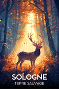 Affiche cerf Sologne nature bois illustration élégance