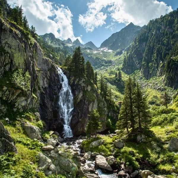 Affiche Nature Montagne Évasion - Cascade Tableau Foret