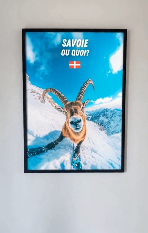 Affiche Savoie ou Quoi - Bouquetin Rigolo