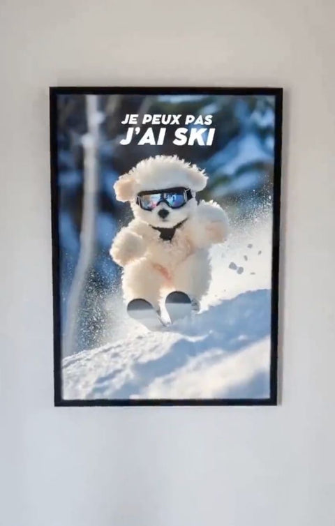 Affiche Drôle - Je peux pas j'ai ski